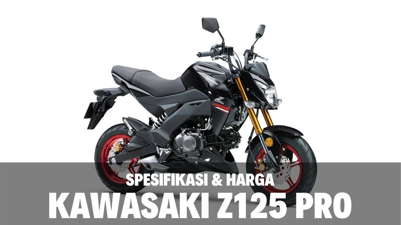 Kawasaki Z125 PRO